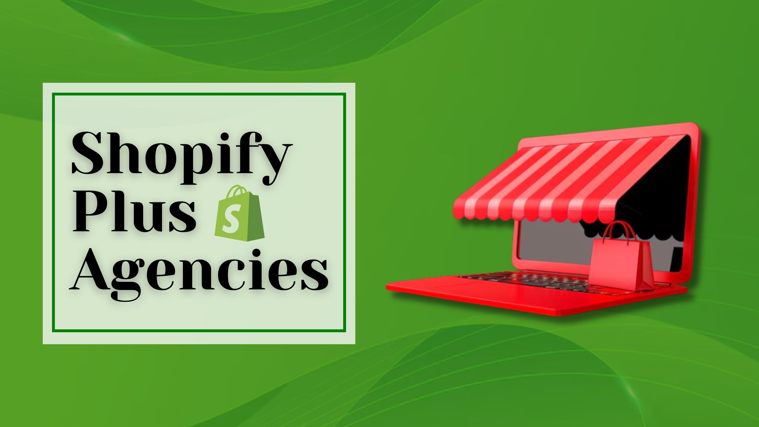 Shopify Plus Agencies